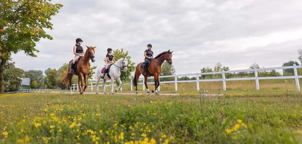 Leçons d'équitation de pleine nature à Lisle-sur-Tarn