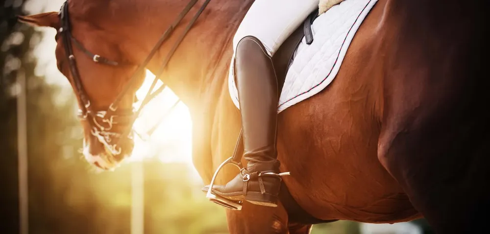 grille-tarifaire-equitation-coaching
