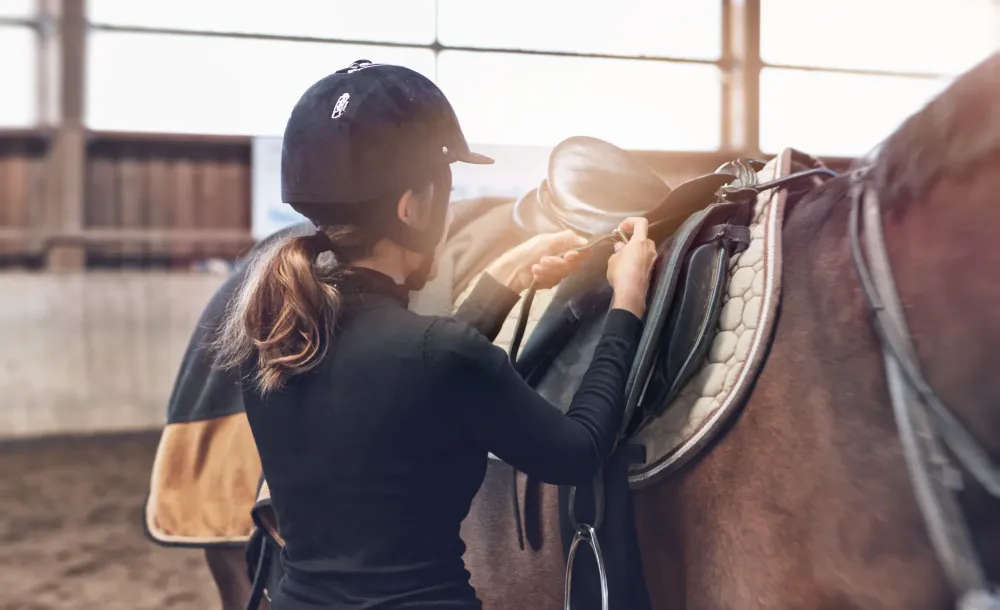 Cours d'équitation à Lisle-sur-Tarn