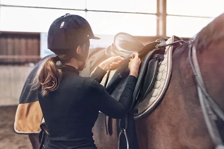 apprentissage-serein-equitation