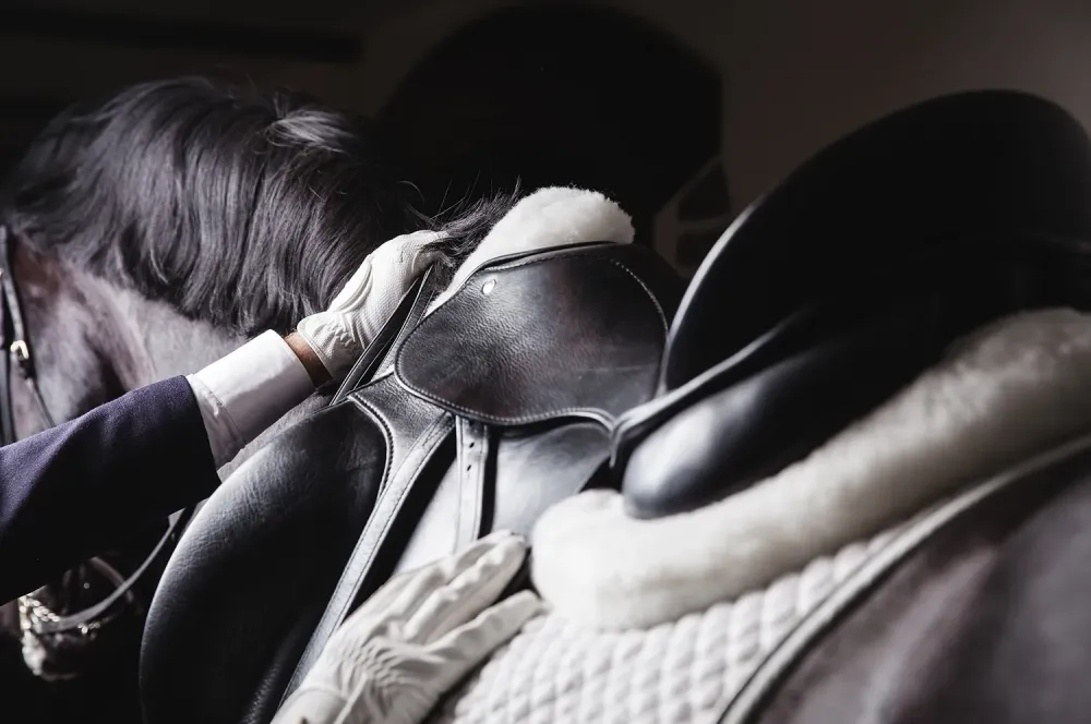 concours-equitation-coaching